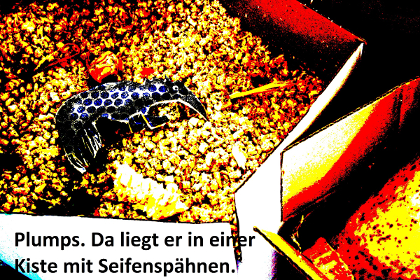 in der Kiste
